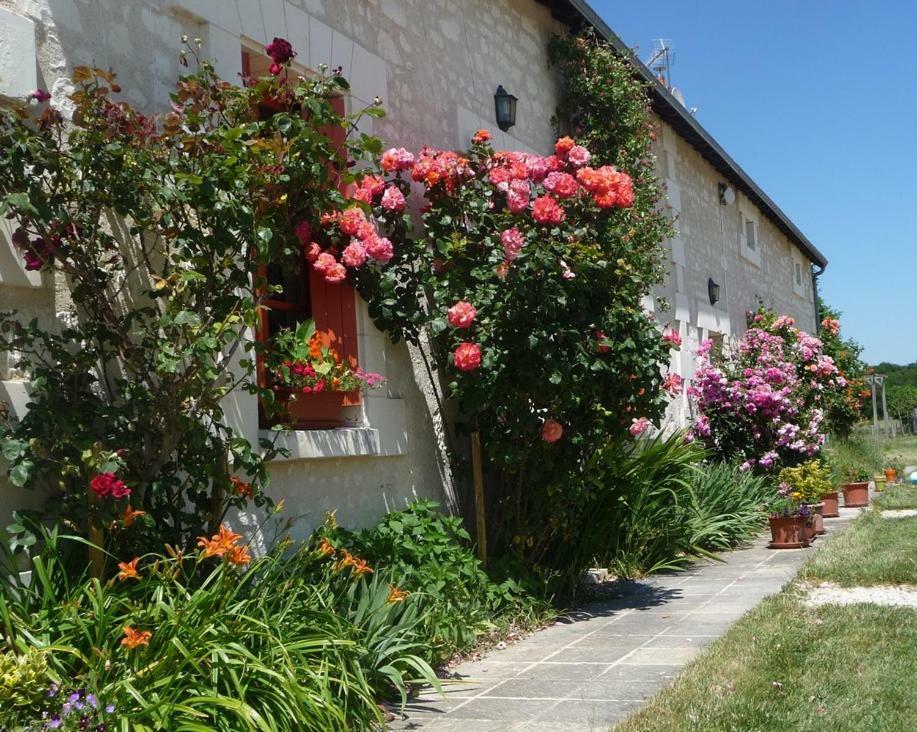 La Maison Des Fleurs Saint-Senoch Экстерьер фото